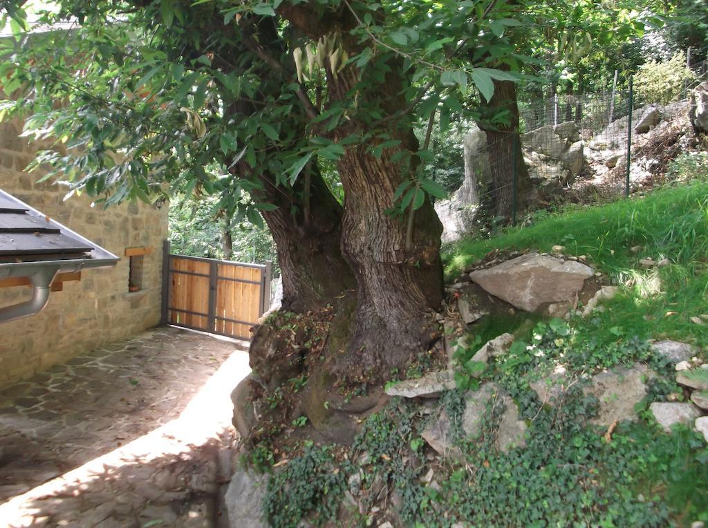 Agriturismo Ai Ronchi Sorico Exterior photo