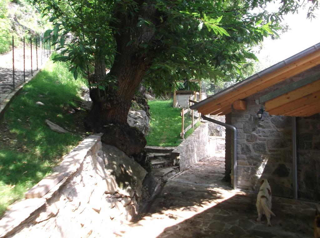 Agriturismo Ai Ronchi Sorico Exterior photo